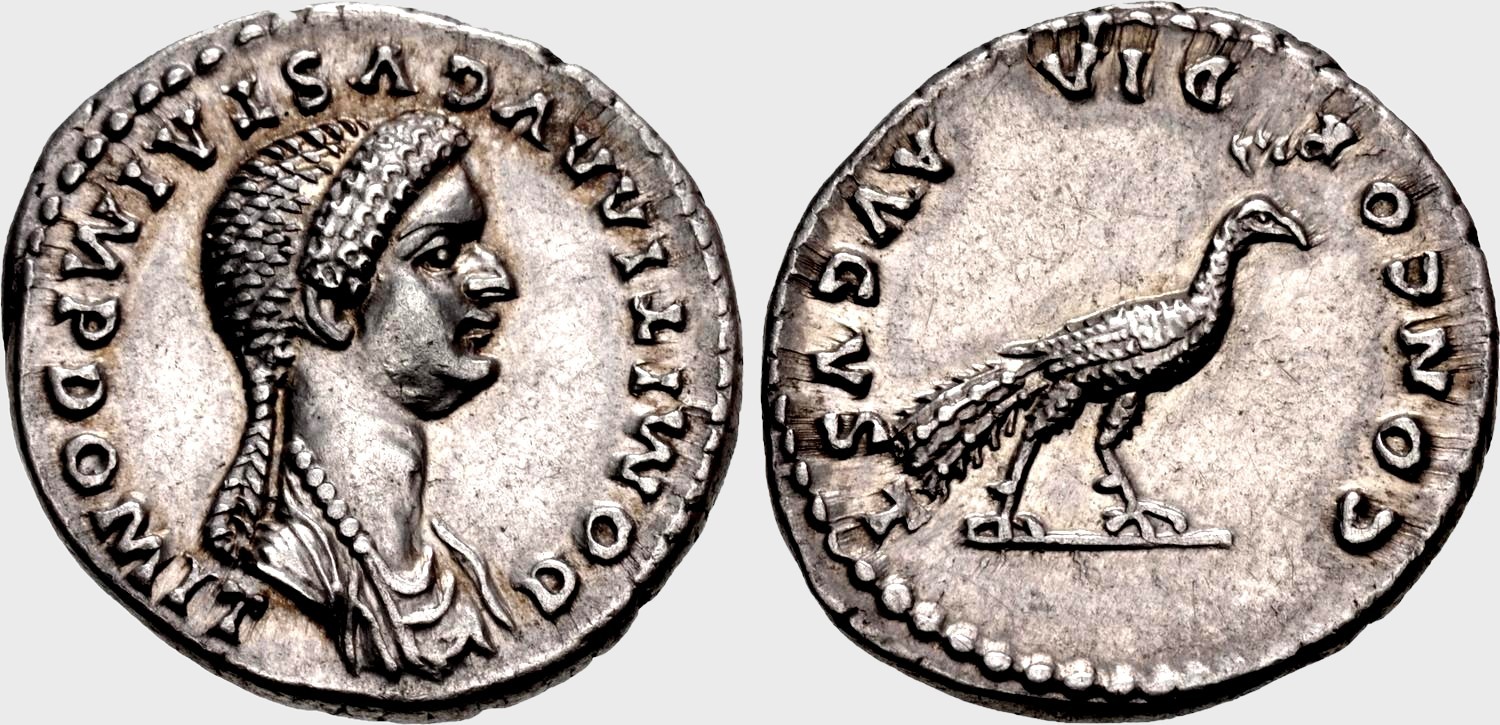 Domitia Longina
