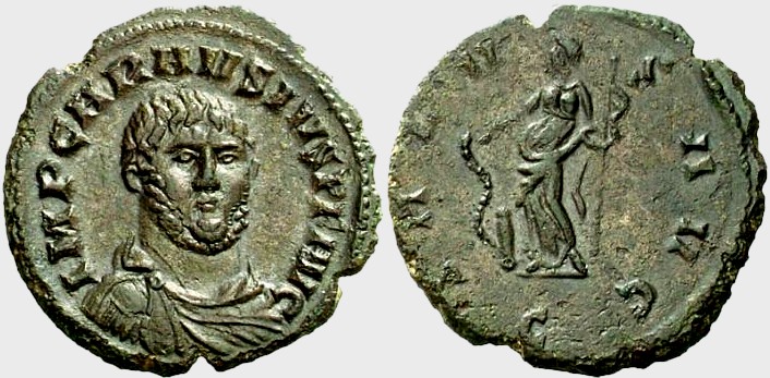 Carausius