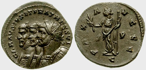 Carausius