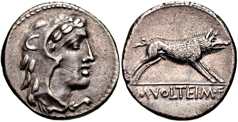 Erymanthian Boar, 75 B.C.