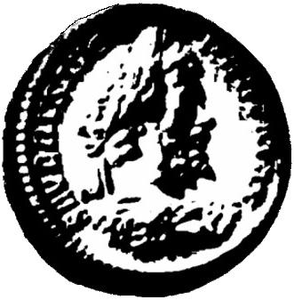 Lion-Skin